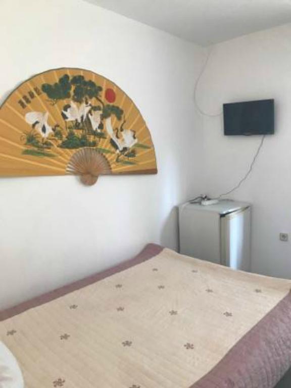 Hotel Casa Ghemus Costinesti Esterno foto