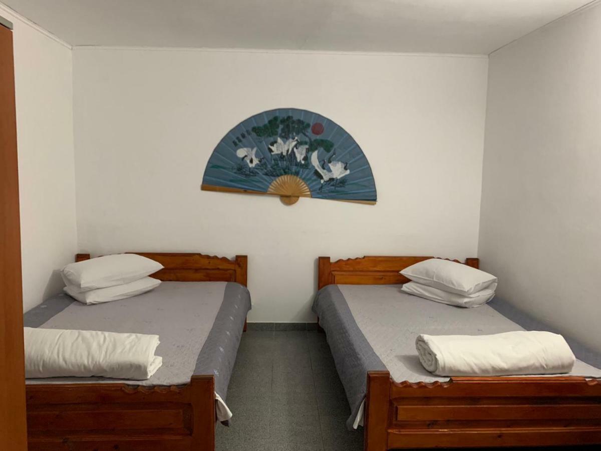 Hotel Casa Ghemus Costinesti Esterno foto